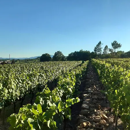 Du Vignal